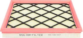 BSG BSG 65-135-017 - Filter za zrak www.molydon.hr