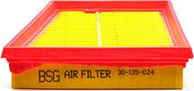 BSG BSG 30-135-024 - Filter za zrak www.molydon.hr