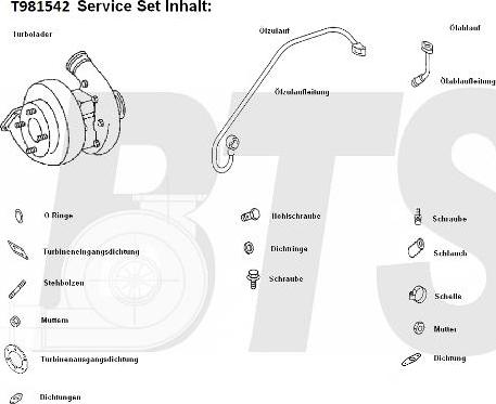 BTS Turbo T981542 - Kompresor, prehranjivac www.molydon.hr