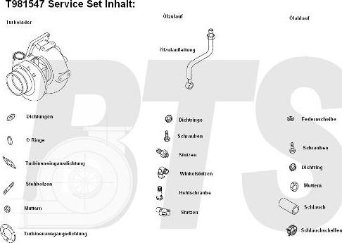 BTS Turbo T981547 - Kompresor, prehranjivac www.molydon.hr