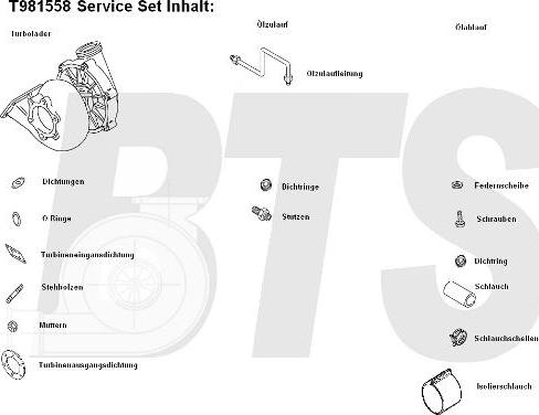 BTS Turbo T981558 - Kompresor, prehranjivac www.molydon.hr