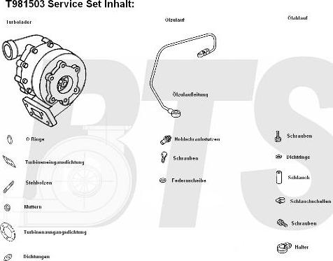 BTS Turbo T981503 - Kompresor, prehranjivac www.molydon.hr