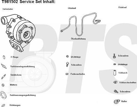 BTS Turbo T981502 - Kompresor, prehranjivac www.molydon.hr