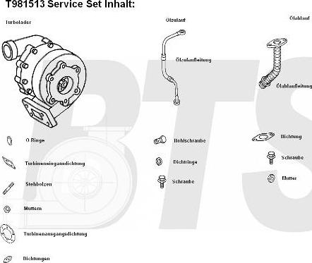 BTS Turbo T981513 - Kompresor, prehranjivac www.molydon.hr