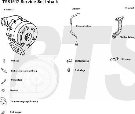 BTS Turbo T981512 - Kompresor, prehranjivac www.molydon.hr