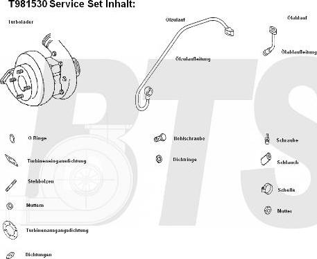 BTS Turbo T981530 - Kompresor, prehranjivac www.molydon.hr