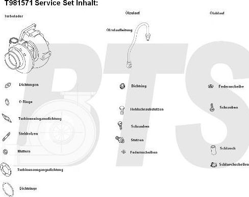 BTS Turbo T981571 - Kompresor, prehranjivac www.molydon.hr