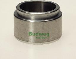 Budweg Caliper 234402 - Klip, kočione čeljusti www.molydon.hr