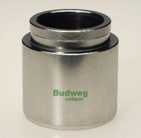 Budweg Caliper 234806 - Klip, kočione čeljusti www.molydon.hr