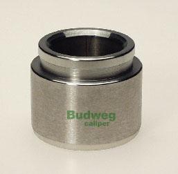 Budweg Caliper 234206 - Klip, kočione čeljusti www.molydon.hr