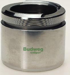 Budweg Caliper 235449 - Klip, kočione čeljusti www.molydon.hr