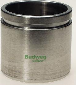 Budweg Caliper 235717 - Klip, kočione čeljusti www.molydon.hr