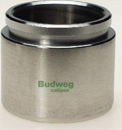 Budweg Caliper 235722 - Klip, kočione čeljusti www.molydon.hr