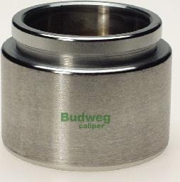 Budweg Caliper 236021 - Klip, kočione čeljusti www.molydon.hr