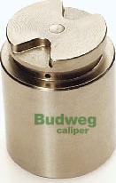 Budweg Caliper 233516 - Klip, kočione čeljusti www.molydon.hr