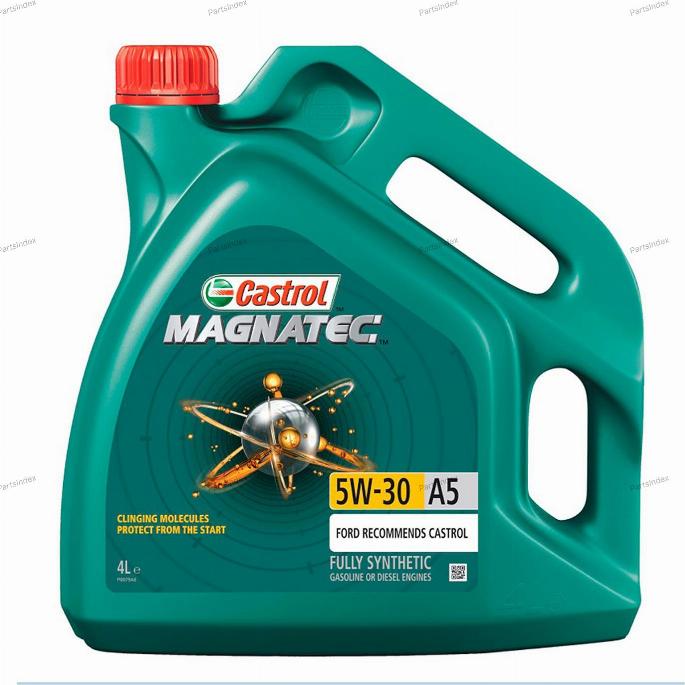 Castrol 15583D - Ulje lajtung ( cijev )nog prenosnika www.molydon.hr