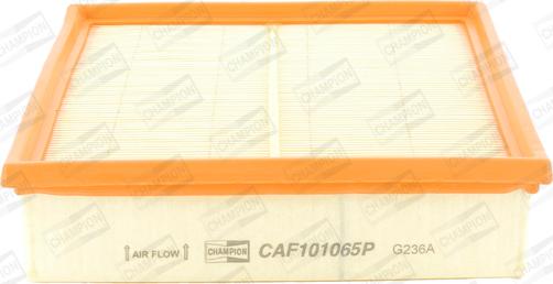 Champion CAF101065P - Filter za zrak www.molydon.hr