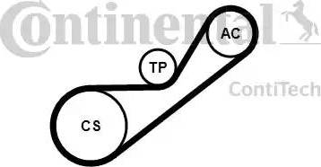 Continental 4PK925K1 - Garnitura klinastog rebrastog remena www.molydon.hr