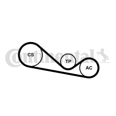 Continental 4PK1237K1 - Garnitura klinastog rebrastog remena www.molydon.hr