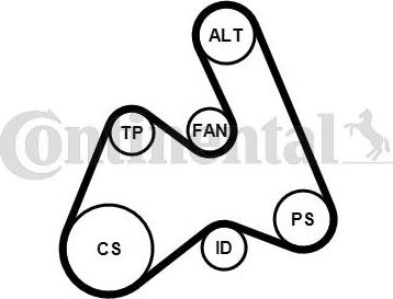 Contitech 5PK1592K1 - Garnitura klinastog rebrastog remena www.molydon.hr