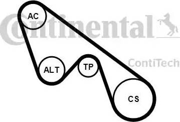 Continental 5PK1150K1 - Garnitura klinastog rebrastog remena www.molydon.hr