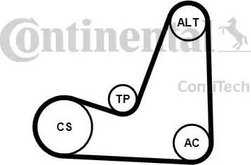 Continental 5PK1200K1 - Garnitura klinastog rebrastog remena www.molydon.hr