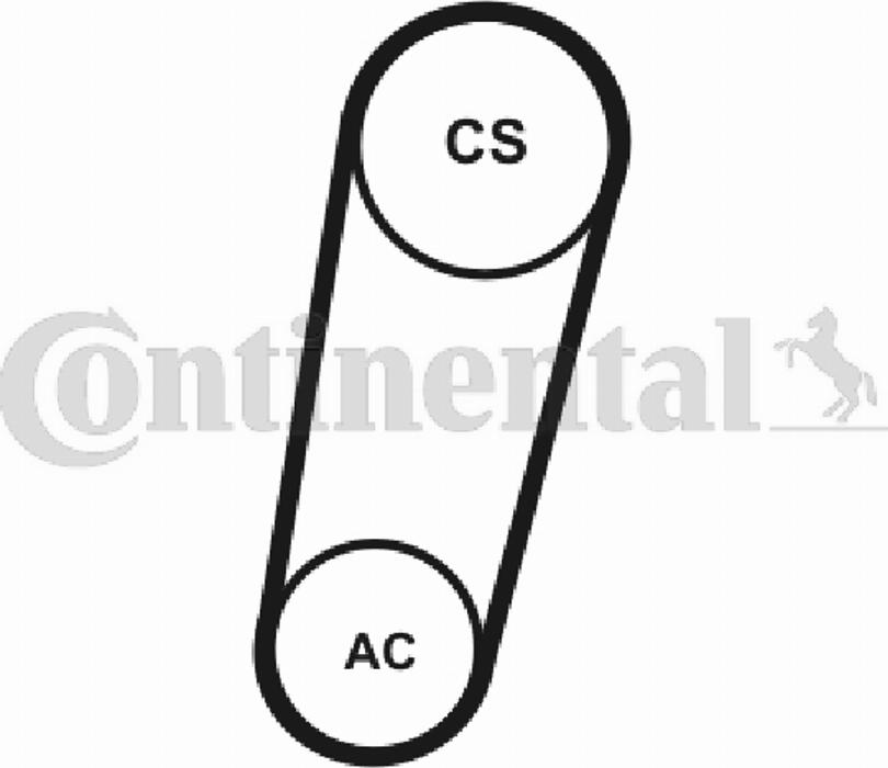 Contitech 5PK705T1 - Klinasti rebrasti remen  www.molydon.hr