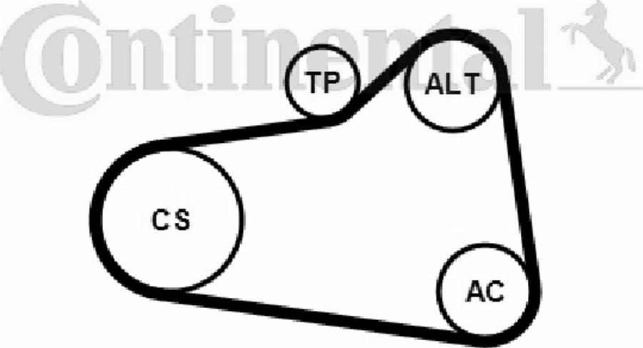 Contitech 6PK906K2 - Garnitura klinastog rebrastog remena www.molydon.hr