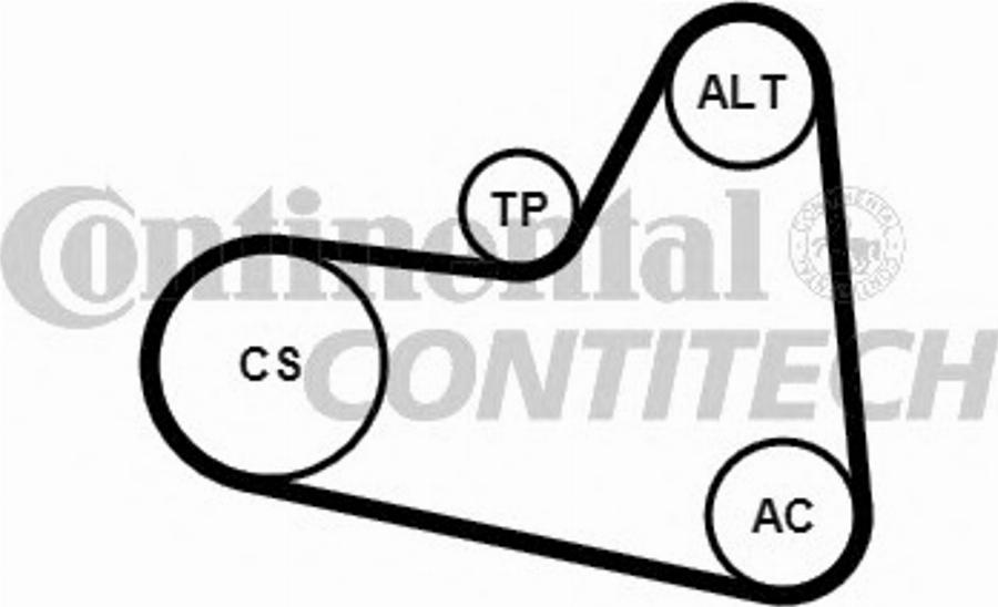 Contitech 6PK976K2 - Garnitura klinastog rebrastog remena www.molydon.hr