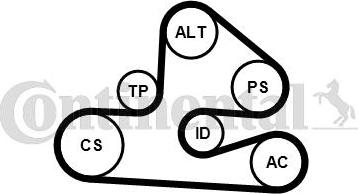 Contitech 6PK1590K1 - Garnitura klinastog rebrastog remena www.molydon.hr