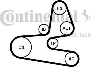 Continental 6PK1564K1 - Garnitura klinastog rebrastog remena www.molydon.hr