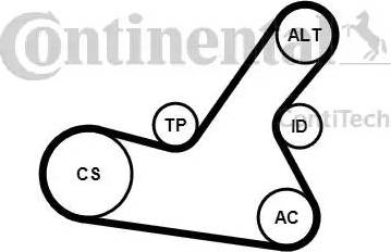 Continental 6PK1564K2 - Garnitura klinastog rebrastog remena www.molydon.hr