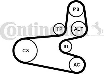 CONTITECH 6PK1560K1 - Garnitura klinastog rebrastog remena www.molydon.hr