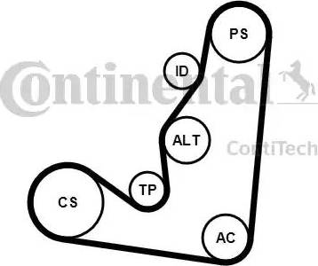 Continental 6PK1660K4 - Garnitura klinastog rebrastog remena www.molydon.hr