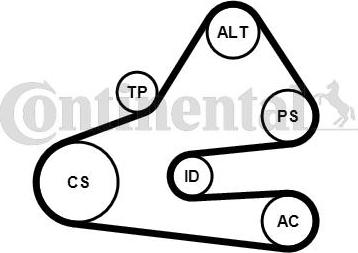 Contitech 6 PK 1613 K1 - Garnitura klinastog rebrastog remena www.molydon.hr