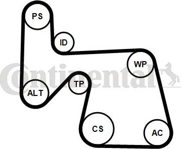 CONTITECH 6PK1670K1 - Garnitura klinastog rebrastog remena www.molydon.hr