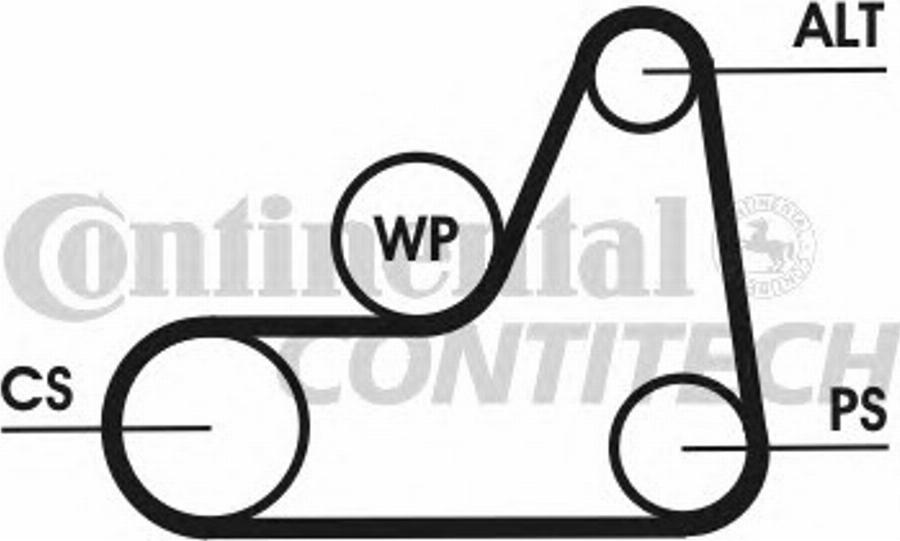 Contitech 6PK1042 ELAST T3 - Klinasti rebrasti remen  www.molydon.hr