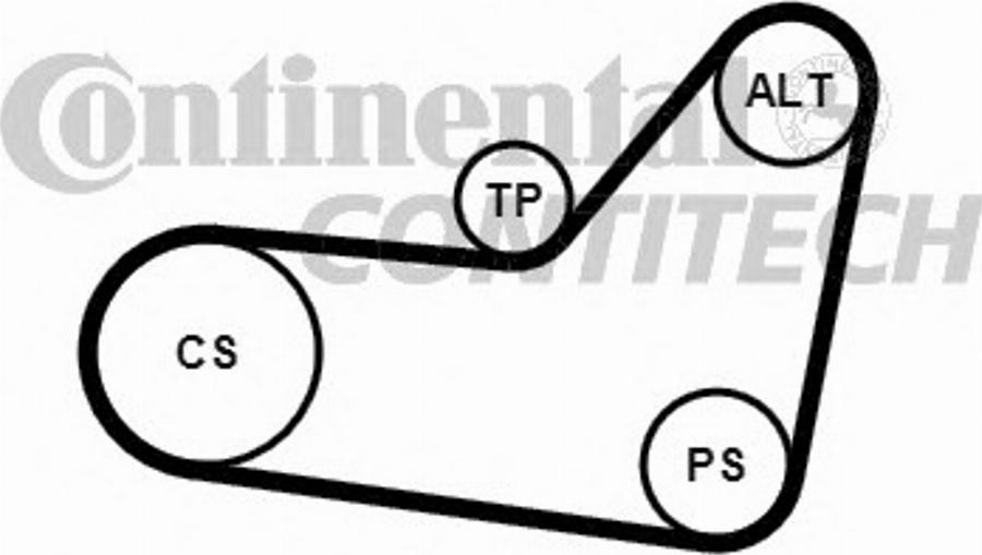 Contitech 6PK1080K3 - Klinasti rebrasti remen  www.molydon.hr