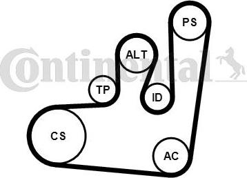 Continental 6PK1145WP1 - Vodena pumpa + garnitura klinastog rebrastog remena www.molydon.hr