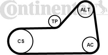 Contitech 6PK1153K1 - Garnitura klinastog rebrastog remena www.molydon.hr