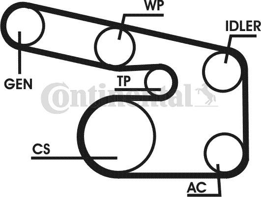 Contitech 6PK1873D1 - Garnitura klinastog rebrastog remena www.molydon.hr