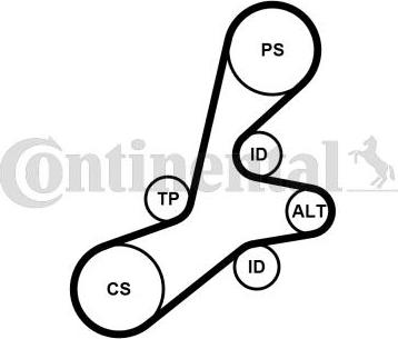 Contitech 6PK1352K1 - Garnitura klinastog rebrastog remena www.molydon.hr