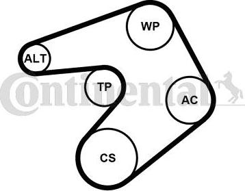 Continental 6PK1244K1 - Garnitura klinastog rebrastog remena www.molydon.hr