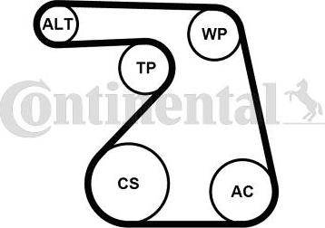 Contitech 6PK1217K2 - Garnitura klinastog rebrastog remena www.molydon.hr