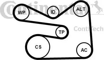 Continental 6PK1733K3 - Garnitura klinastog rebrastog remena www.molydon.hr