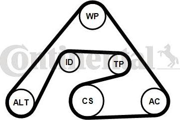 CONTITECH 6PK2030K2 - Garnitura klinastog rebrastog remena www.molydon.hr