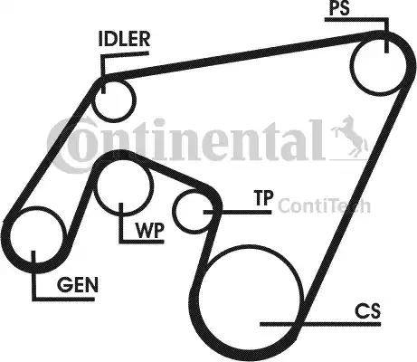 Continental 6PK2196D1 - Klinasti rebrasti remen  www.molydon.hr