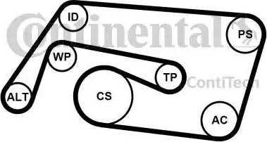 Continental 6PK2260K2 - Garnitura klinastog rebrastog remena www.molydon.hr