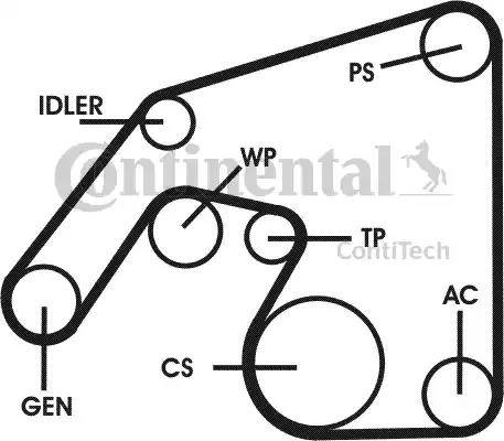 Continental 6PK-2271-D2 - Klinasti rebrasti remen  www.molydon.hr