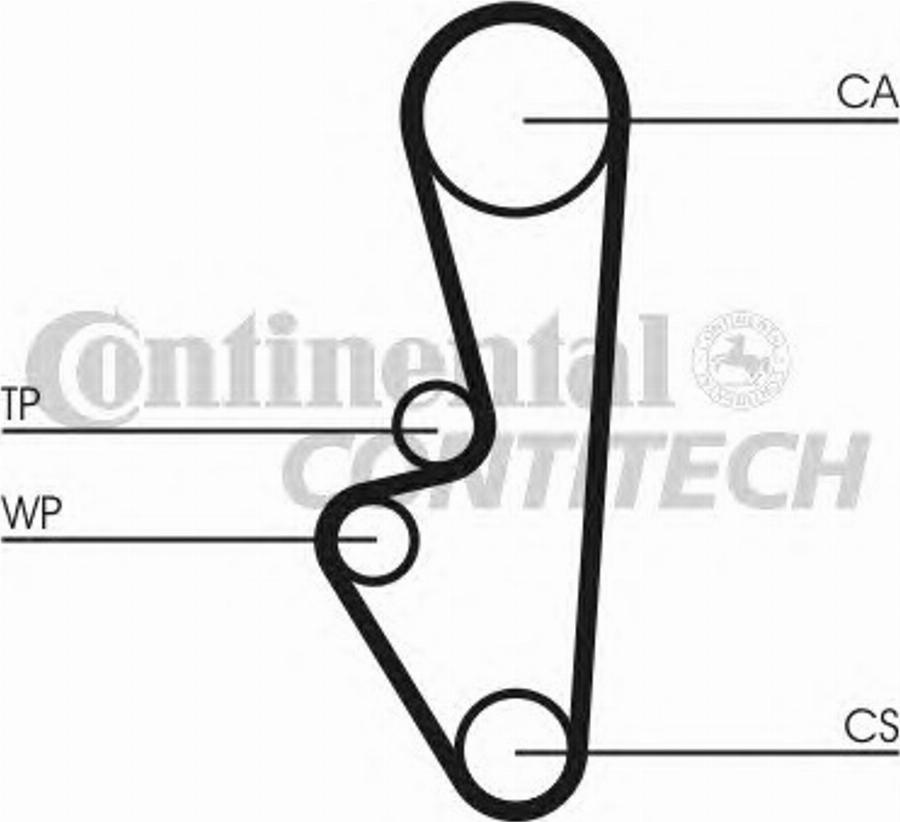 Contitech CT548 - Zupčasti remen  www.molydon.hr